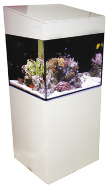 Avec AQUALOC®, offrez un aquarium d'eau de mer à vos résidents ! Avec AQUALOC®, offrez un aquarium d'eau de mer à vos résidents !