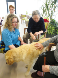S’engager dans la voie des thérapies non-médicamenteuses : l’exemple réussi de la résidence le Parc des Mauves S’engager dans la voie des thérapies non-médicamenteuses : l’exemple réussi de la résidence le Parc des Mauves
