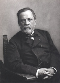 Louis Pasteur, par Nadar.