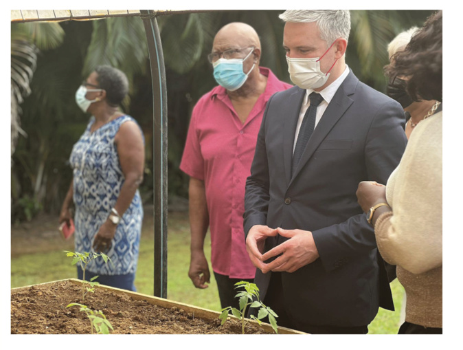 En Martinique, un jardin partagé tourné vers l’agriculture durable