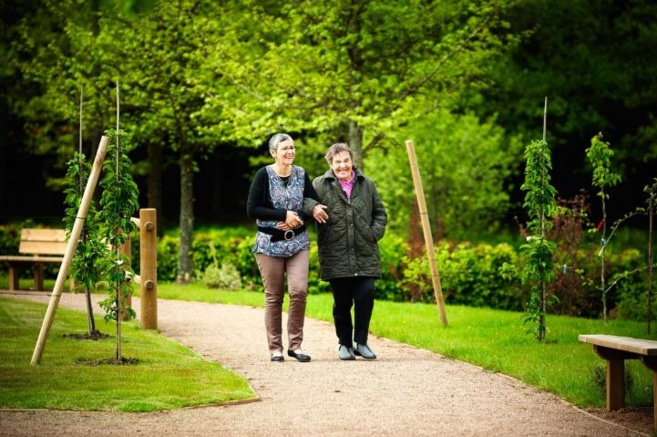 Burn out : Quand les jardins thérapeutiques apaisent aussi les professionnels de santé