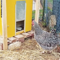À Cordes-sur-Ciel, une zone de biodiversité tisse des liens entre générations