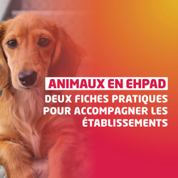 L’Anap publie deux guides pour faciliter l’accueil des animaux en EHPAD L’Anap publie deux guides pour faciliter l’accueil des animaux en EHPAD
