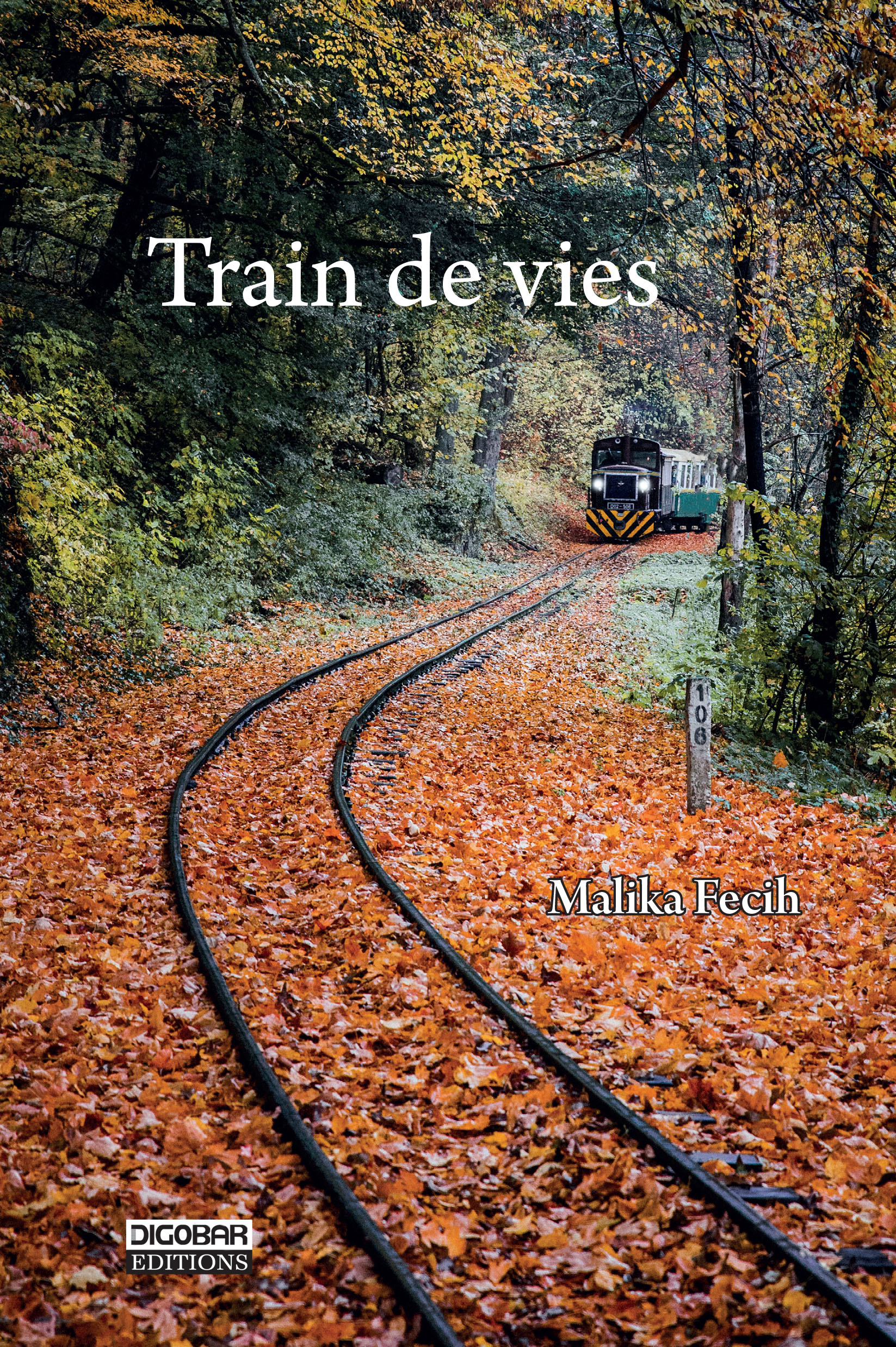 Dans Train de Vies, « les vieux parlent à qui veut bien les écouter »