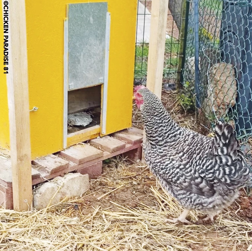 À Cordes-sur-Ciel, une zone de biodiversité tisse des liens entre générations