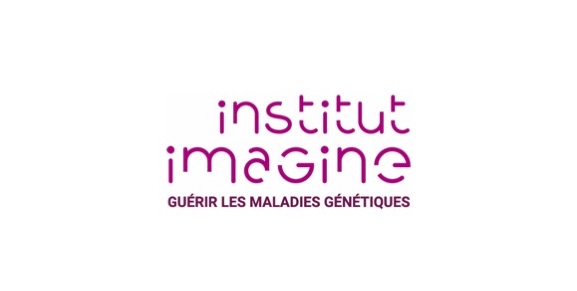 Alzheimer : et si tout ne se jouait pas dans les neurones ?
