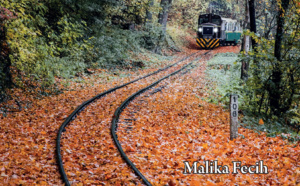 Dans Train de Vies, « les vieux parlent à qui veut bien les écouter »