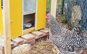 À Cordes-sur-Ciel, une zone de biodiversité tisse des liens entre générations