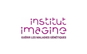 Alzheimer : et si tout ne se jouait pas dans les neurones ?