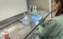 La Fondation Vaincre Alzheimer au cœur de la recherche