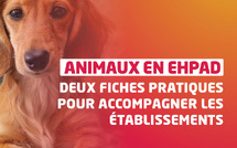 L’Anap publie deux guides pour faciliter l’accueil des animaux en EHPAD